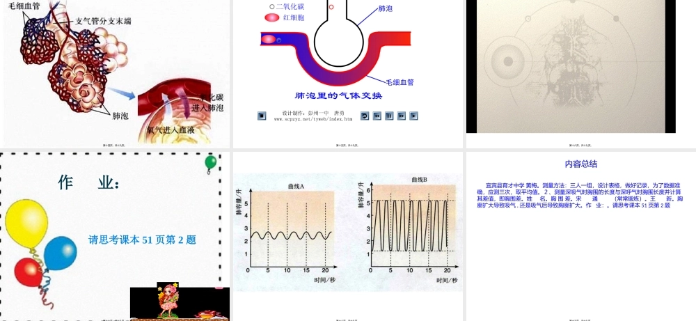 发生在肺内的气体交换.pptx