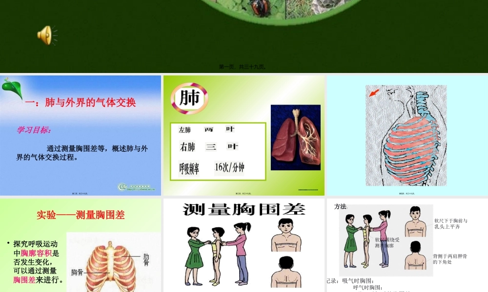 发生在肺里的气体交换.pptx