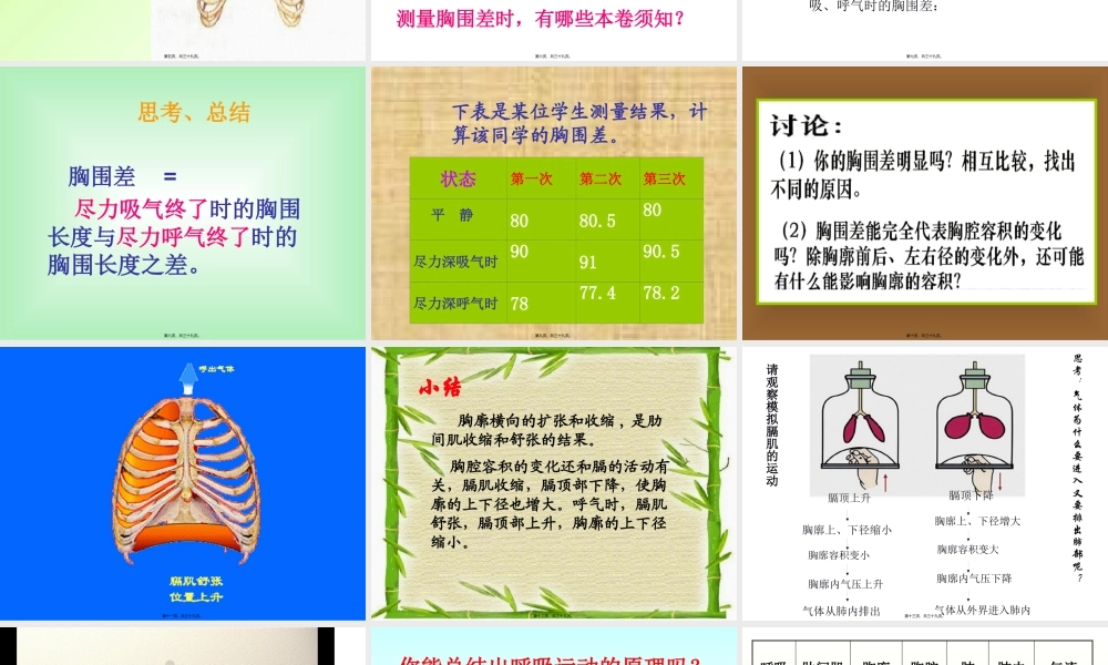 发生在肺里的气体交换.pptx