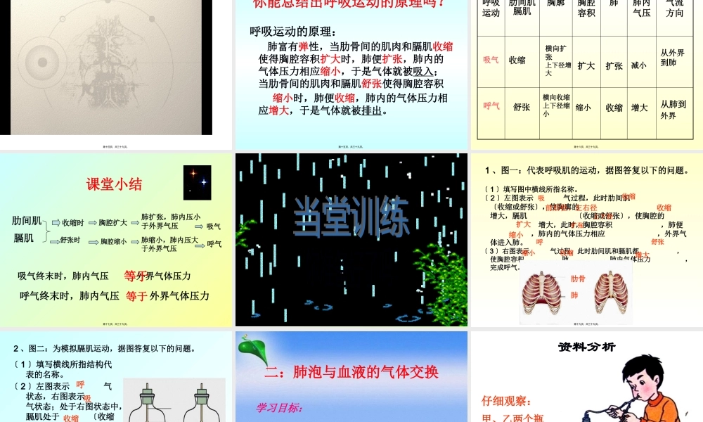 发生在肺里的气体交换.pptx