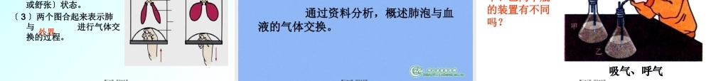 发生在肺里的气体交换.pptx