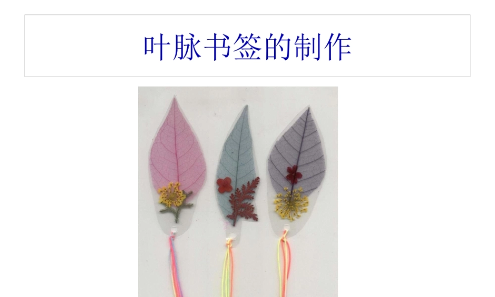 叶脉书签的制作.pptx