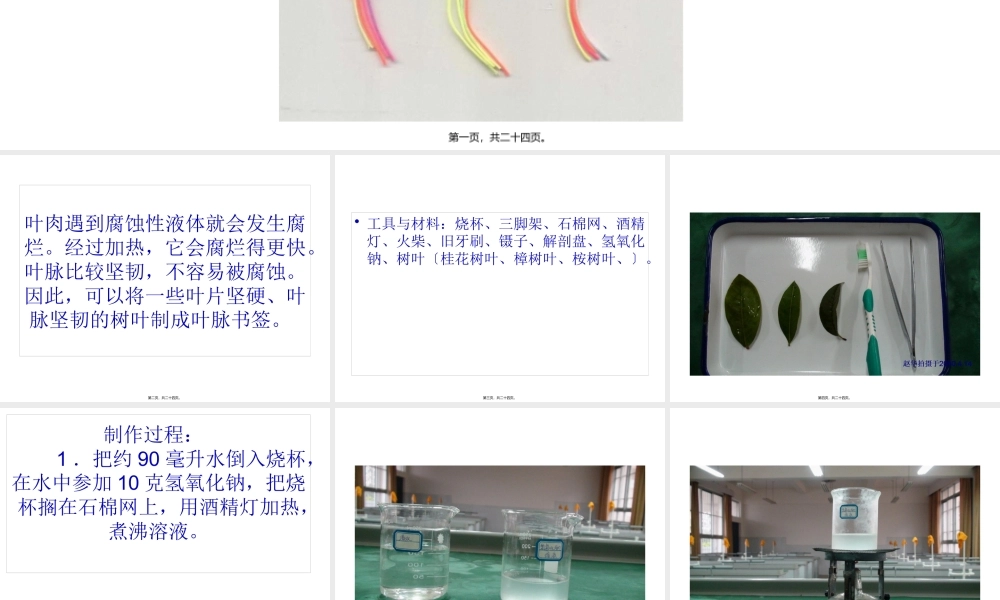 叶脉书签的制作.pptx