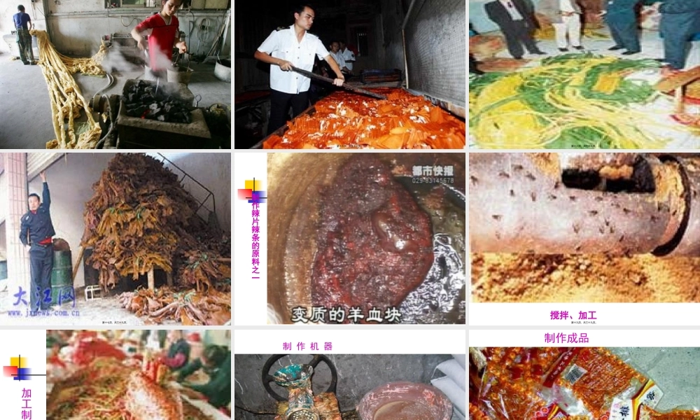 合理营养、健康成长主题班会.pptx