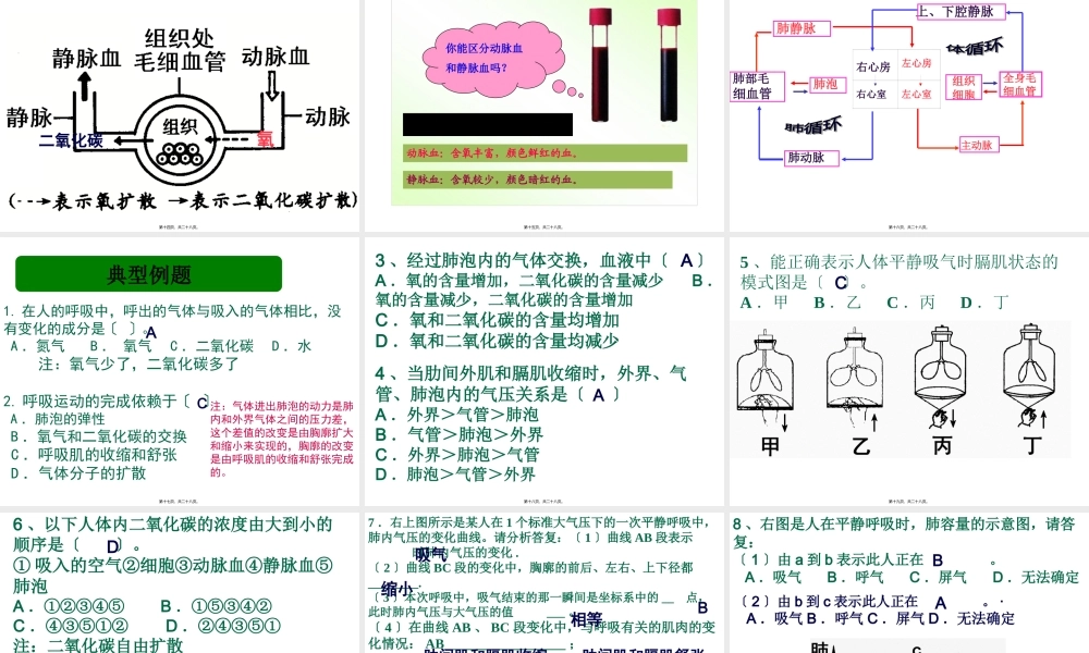 呼吸与血液循环复习.pptx