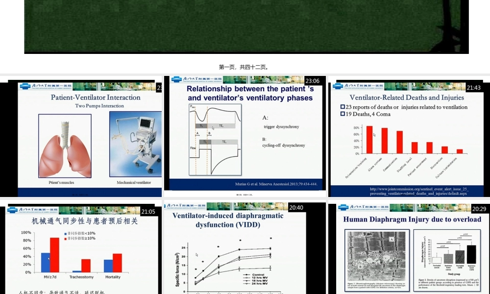 呼吸机支持波形.pptx