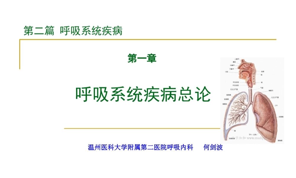 呼吸系统总论.ppt