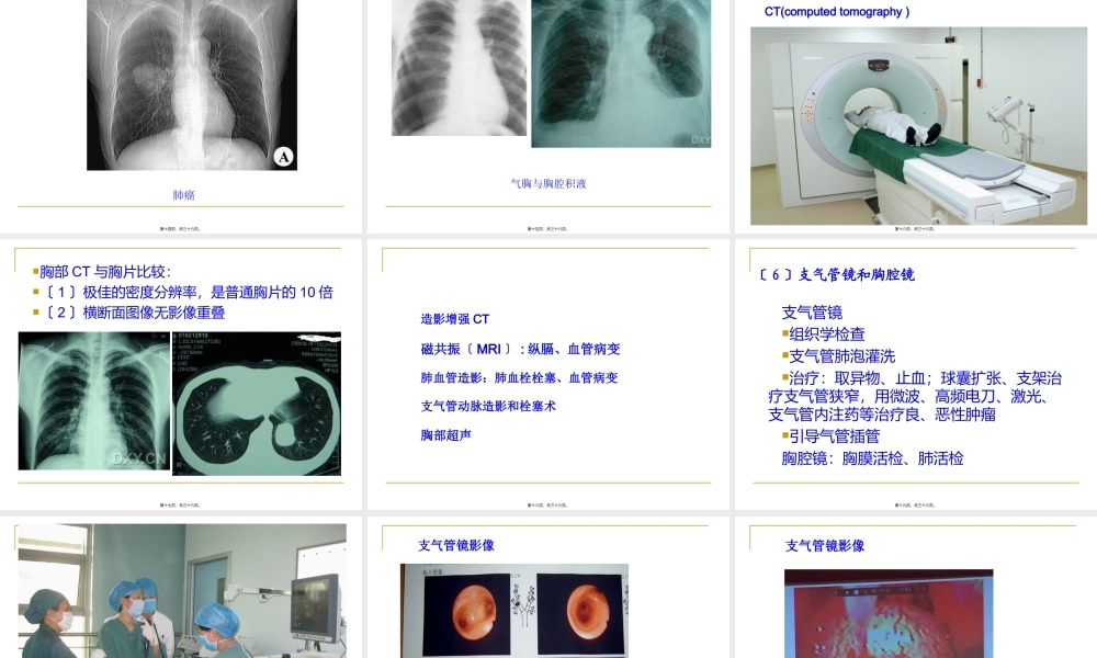 呼吸系统总论.ppt