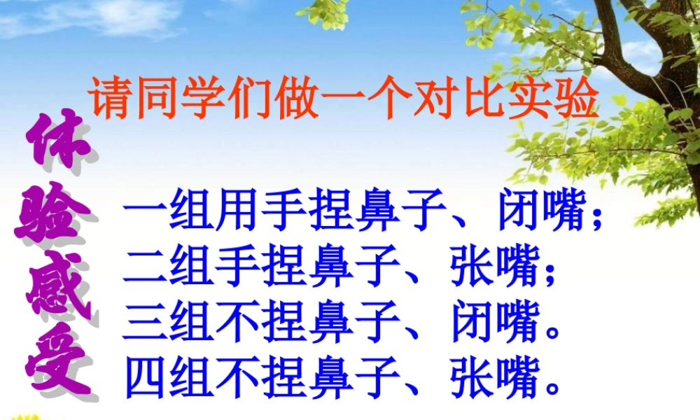 呼吸道对空气的处理-(用).ppt