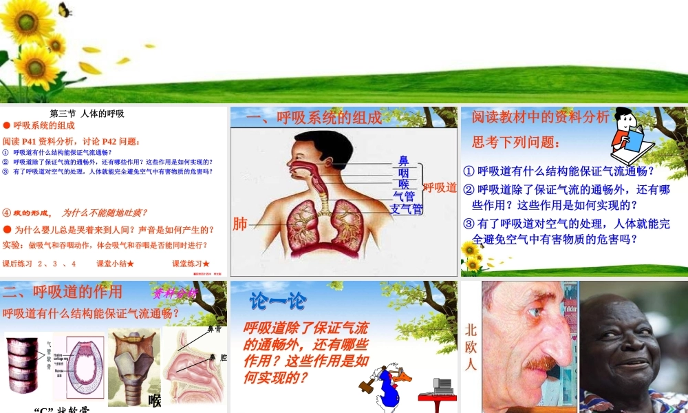 呼吸道对空气的处理-(用).ppt