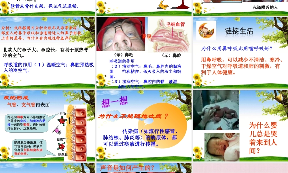 呼吸道对空气的处理-(用).ppt