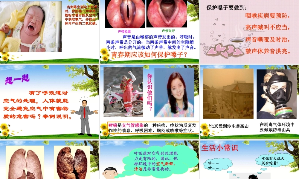 呼吸道对空气的处理-(用).ppt