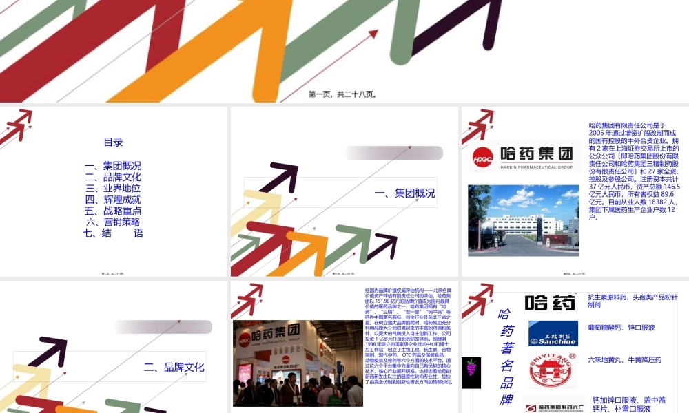 哈药着名品牌-红软基地.pptx