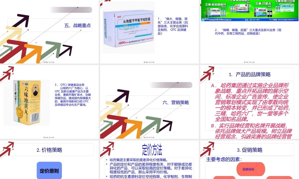 哈药着名品牌-红软基地.pptx