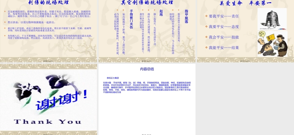 四肢创伤现场急救与处理.pptx