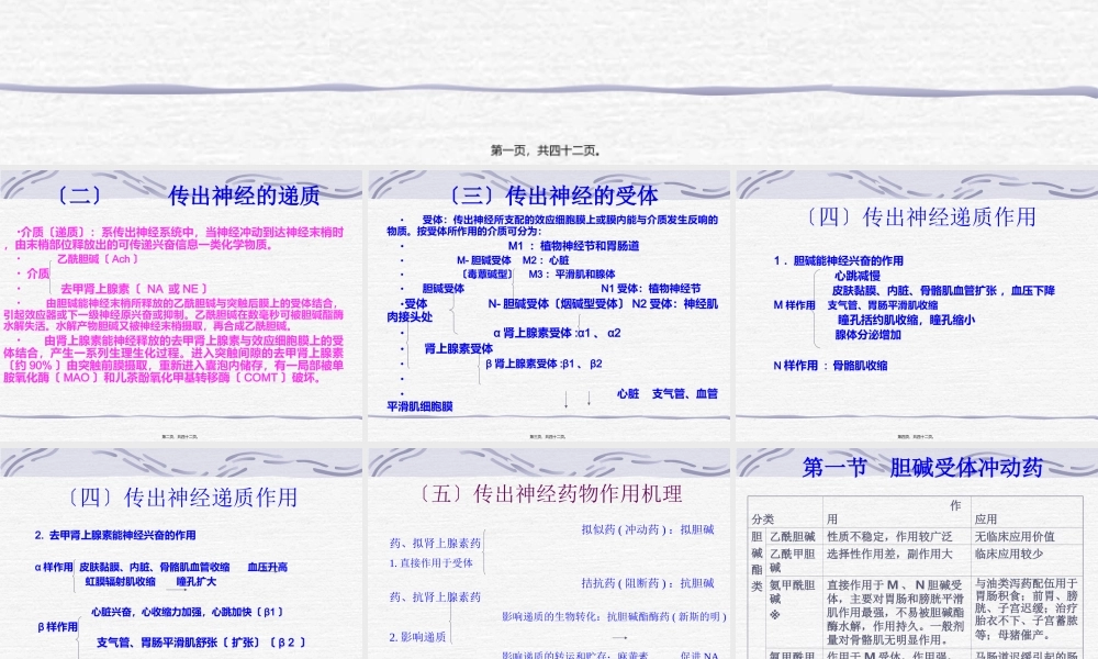 外周神经系统药理.ppt