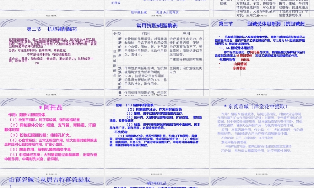 外周神经系统药理.ppt