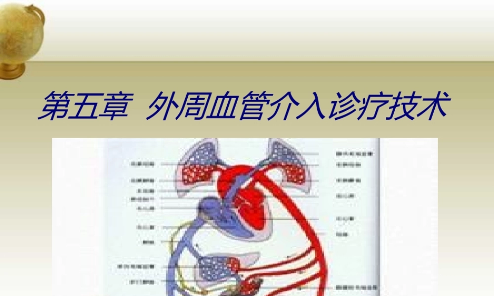 外周血管系统-(2).ppt