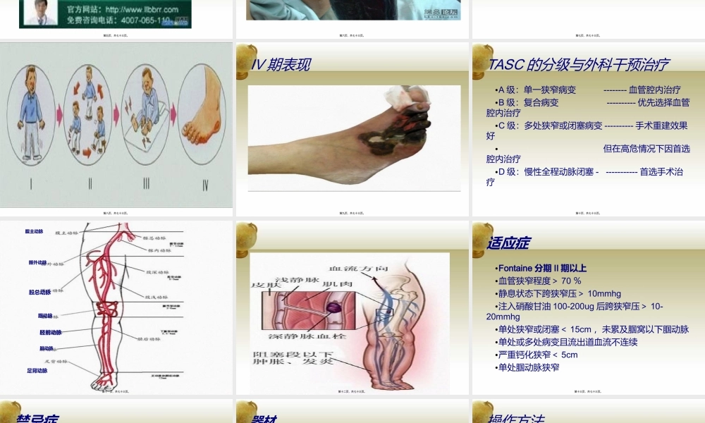 外周血管系统-(2).ppt