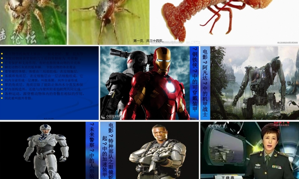 外骨骼机器人.pptx