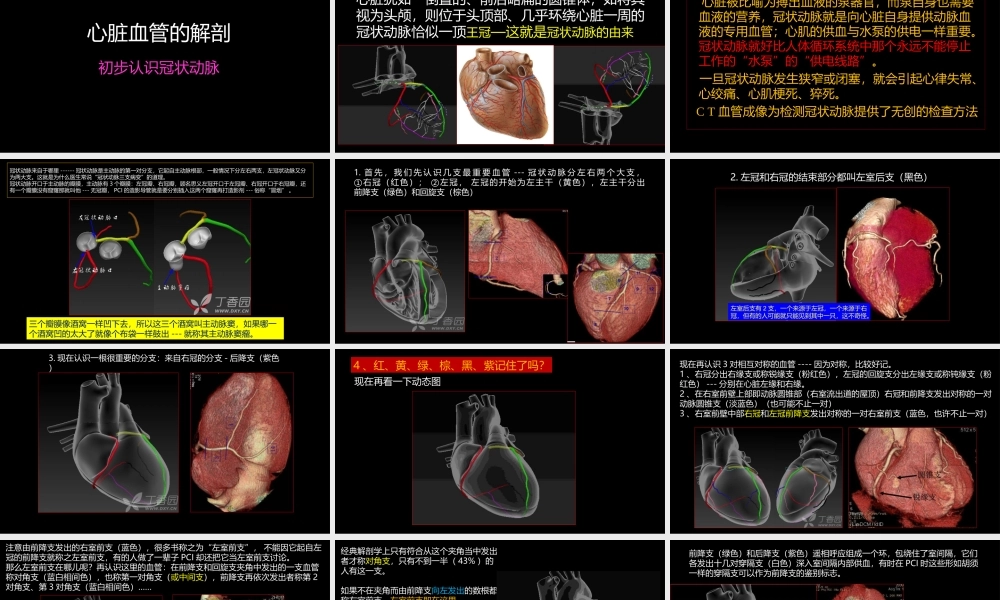 多层螺旋CT冠状动脉疾病诊断再学习之一(1).ppt