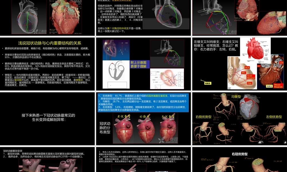 多层螺旋CT冠状动脉疾病诊断再学习之一(1).ppt