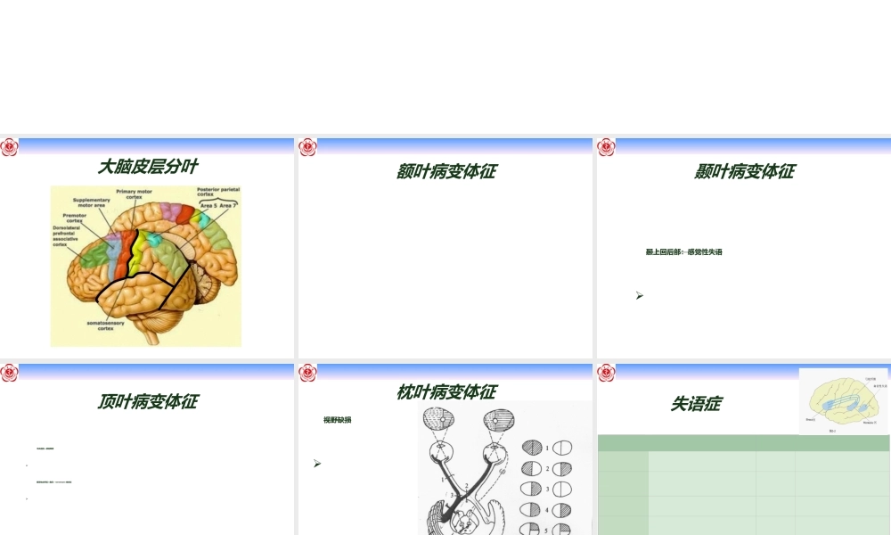 大脑和锥体系体征.ppt