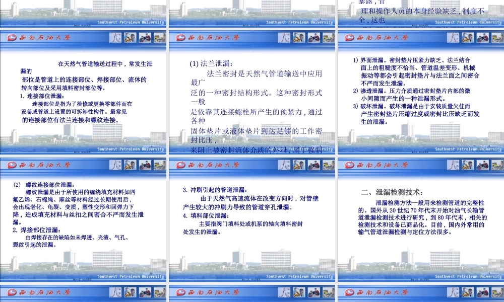 天然气管道检漏.pptx