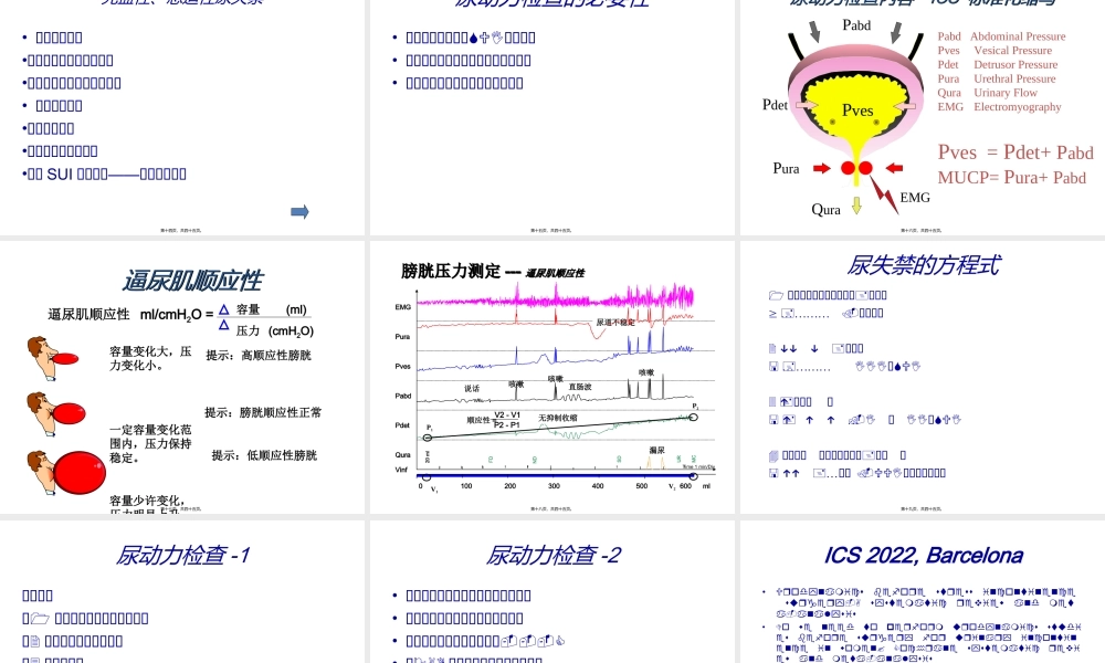 女性压力性尿失禁.ppt