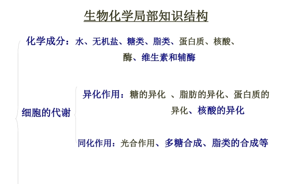 奥赛辅导---蛋白质.pptx