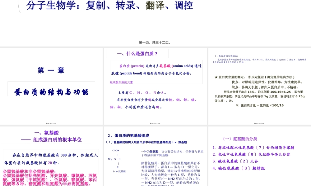 奥赛辅导---蛋白质.pptx