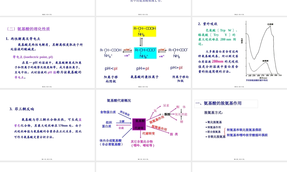 奥赛辅导---蛋白质.pptx
