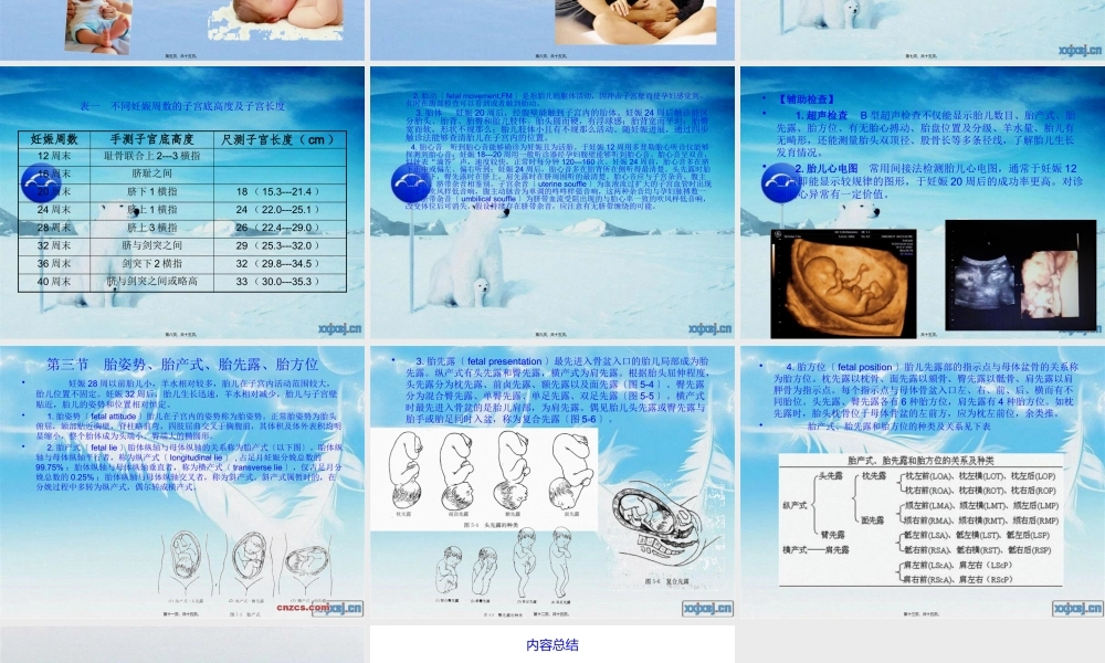 妊-娠-诊-断摘要.pptx