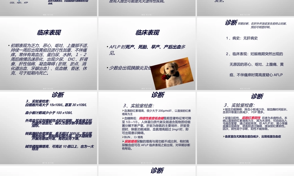 妊娠期急性脂肪肝.ppt