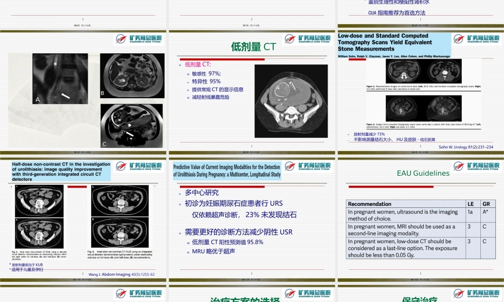 妊娠期尿石症.pptx