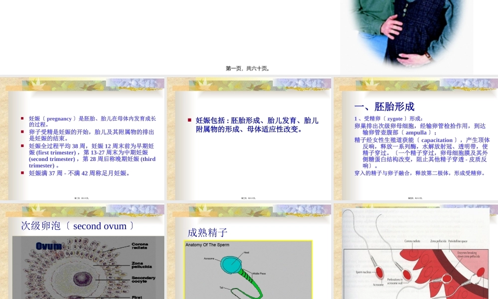 妊娠期母体变化.pptx