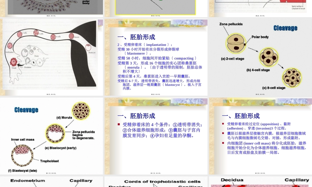 妊娠期母体变化.pptx