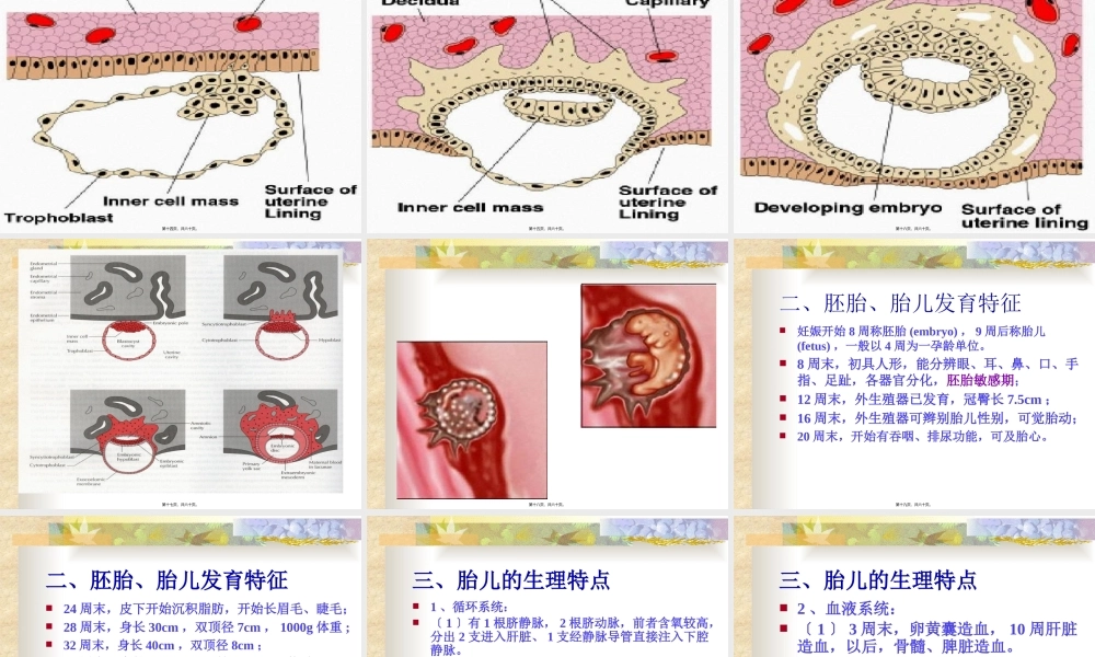 妊娠期母体变化.pptx