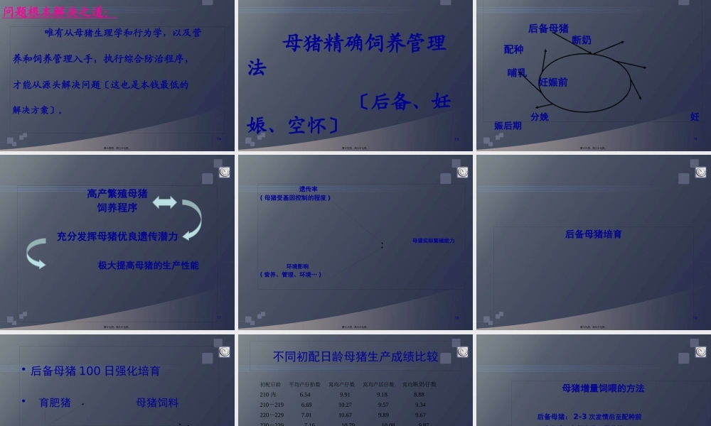 妊娠母猪精确饲养.pptx