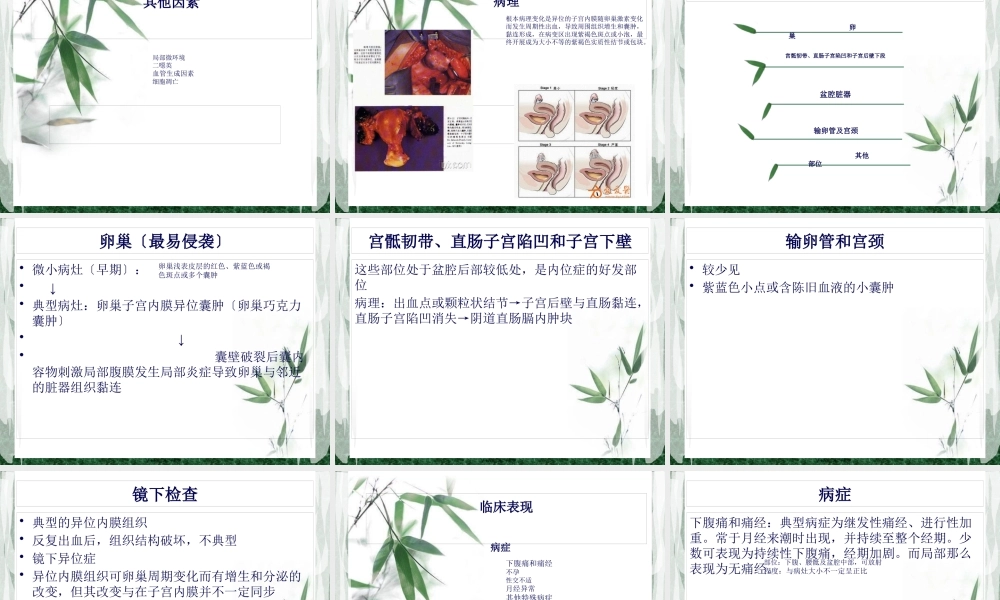 子宫内膜异位症.pptx