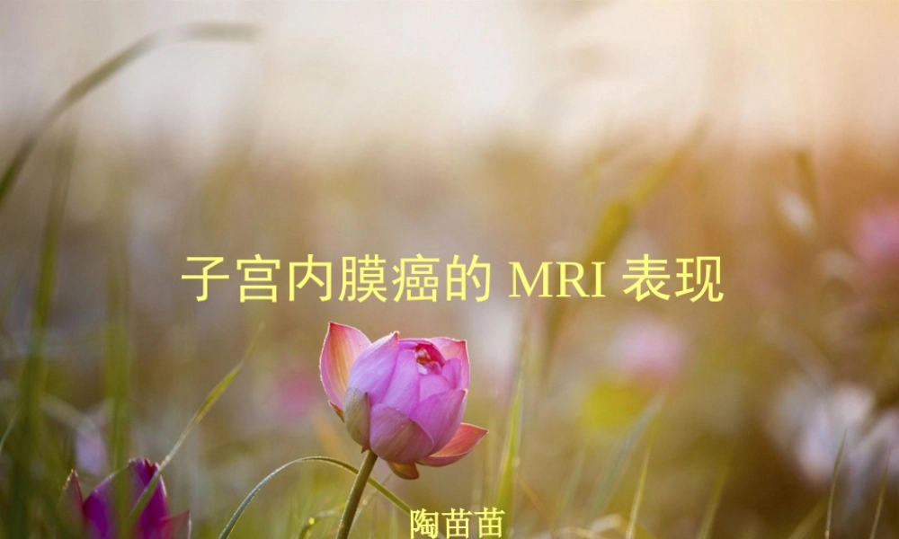 子宫内膜癌MRI影像表现.pptx