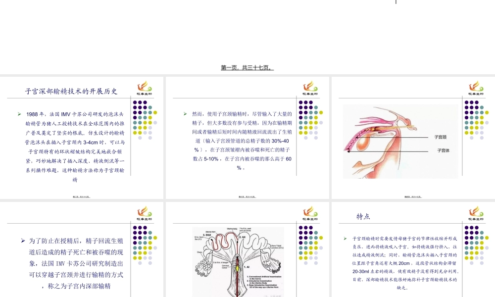 子宫深部输精.ppt