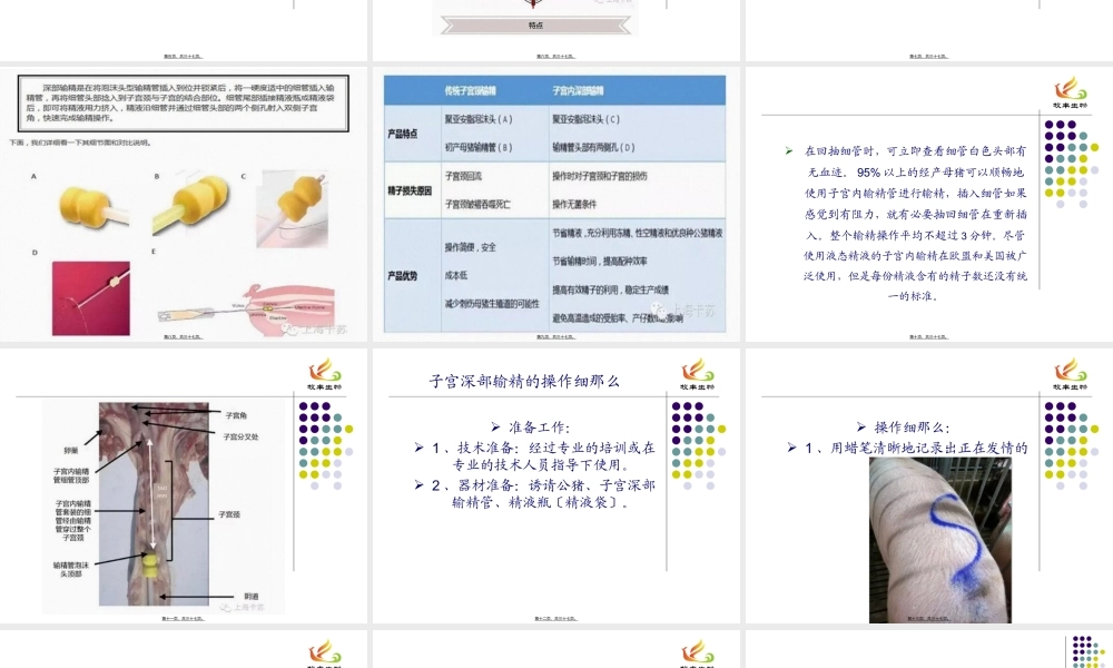 子宫深部输精.ppt