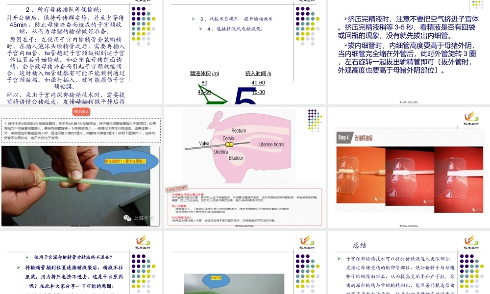 子宫深部输精.ppt