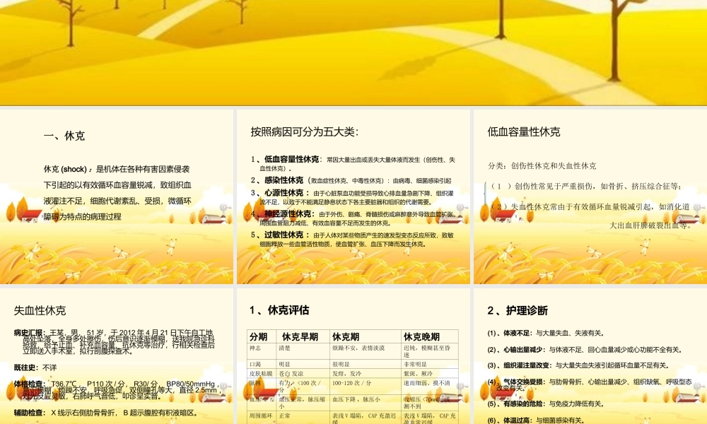 孙菲-----失血性休克的抢救配合.ppt