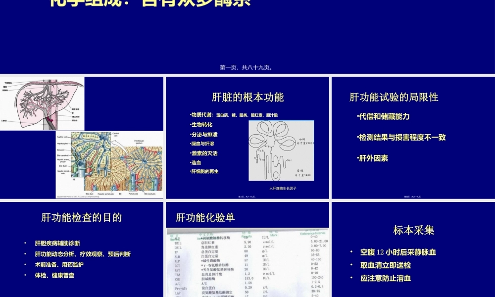 学时肝功能检查.ppt