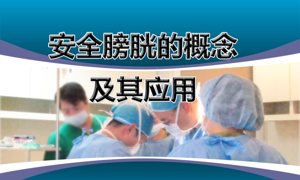 安全膀胱-2010尿控会.pptx