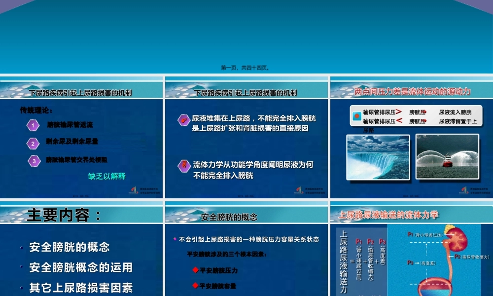 安全膀胱-2010尿控会.pptx