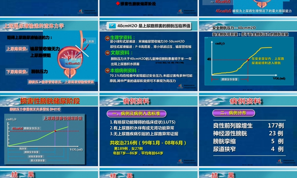 安全膀胱-2010尿控会.pptx