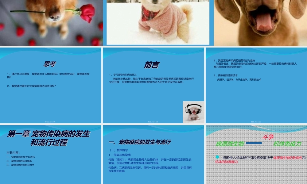 宠物传染病概述.ppt